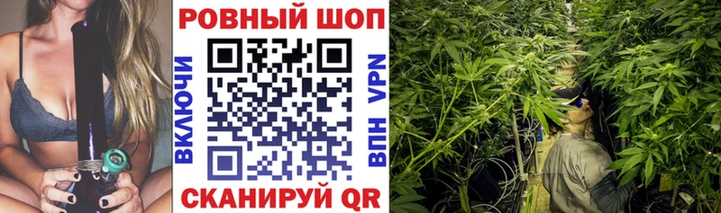 Марихуана Великий Новгород