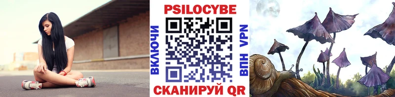 Псилоцибиновые грибы GOLDEN TEACHER Великий Новгород