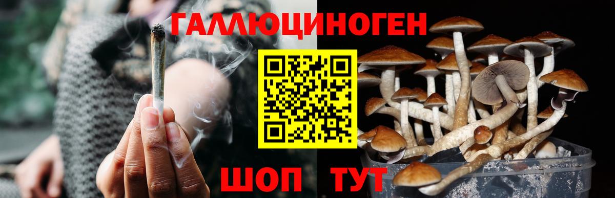 Великий Новгород  Псилоцибиновые грибы мицелий  Вход с VPN  Псилоцибиновые грибы прущие грибы 